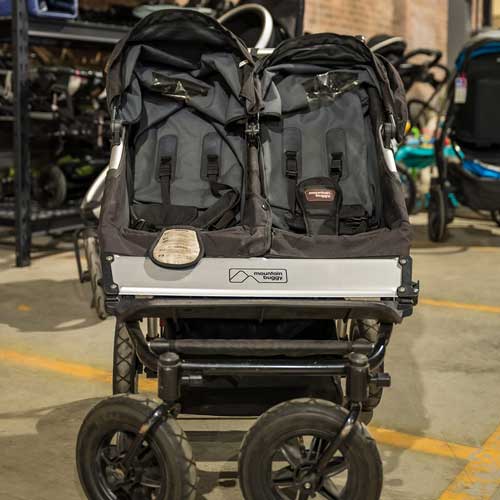 Share Our Spare Double stroller. Advocacy